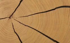 Wohnwert Standelement Novum | Weiß rechts -CAN Kommode Verkaufe 11225851 9 202112101235