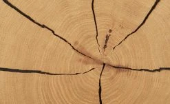 Wohnwert Standelement Novum | Weiß links -CAN Kommode Verkaufe 11226063 1 202112101235