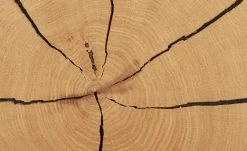 Wohnwert Standelement Novum | Weiß rechts -CAN Kommode Verkaufe 11226064 1 202112092232