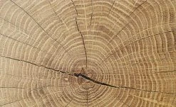 Sideboard Cortina | Weiß/ Eiche Altholz (Nachbildung) -CAN Kommode Verkaufe 12203596 8 202106232232