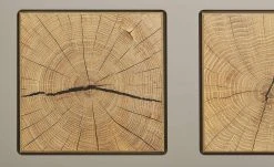 Sideboard Cortina | Basaltgrau / Eiche Altholz (Nachbildung) -CAN Kommode Verkaufe 12209109 3 201908222239