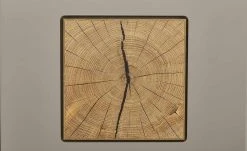 Vitrine Cortina | Basalt / Eiche Altholz (Nachbildung) -CAN Kommode Verkaufe 12209112 16 202102022237