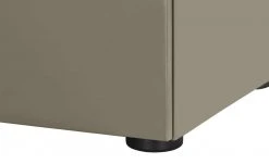 Berger & Rath Vitrine Claro | Londra (Hellgrau) Sichtbare Rückwand: Natureiche Bianco ohne Glaseinlegeböden -CAN Kommode Verkaufe 12238702 7 202105251237