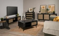 TV-Board Vienna -CAN Kommode Verkaufe 13204984 9 202106302233