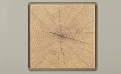 Barschrank Cortina | Basalt (Grau) -CAN Kommode Verkaufe 13206554 9 202204292232