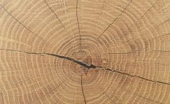 Sideboard Cortina | Eiche Altholz (Nachbildung ) / Schwarz -CAN Kommode Verkaufe 13207048 8 202209212234