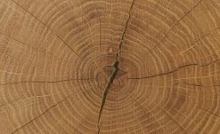 Barschrank Cortina | Eiche Altholz (Nachbildung) / Schwarz -CAN Kommode Verkaufe 13207056 12 202209212234