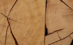 TV-Lowboard Enego -CAN Kommode Verkaufe 13345987 2 202004172241